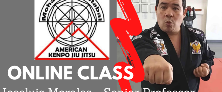 (Day 4 )Online Classes for Students, Members and friends of American Kenpo Jiu Jitsu Academy