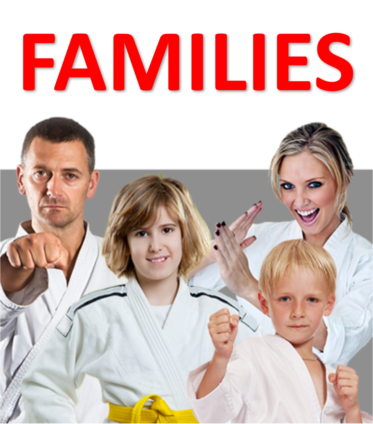 FAMILIES PROGRAM