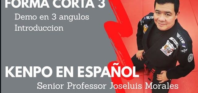 KENPO EN ESPAÑOL – Forma Corta 3 – 1ra Parte – DEMO & INTRO – Joseluis Morales S.P